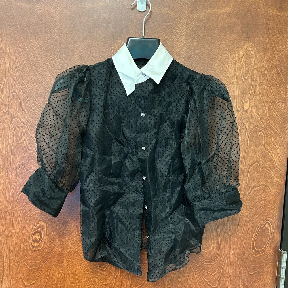 Zara Organza Swiss Dot Shirt with White Collar